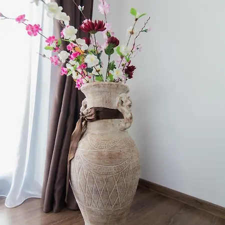 Διαμέρισμα Laura Κλουζ-Ναπόκα