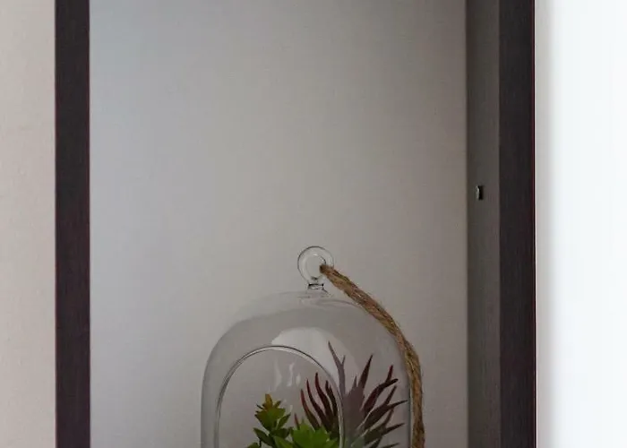 Laura קלוז'-נאפוקה